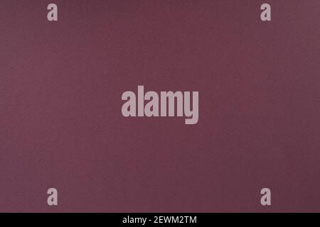 Violet paper background. Plum violet colour paper texture. Matte monochrome surface. Stock Photo