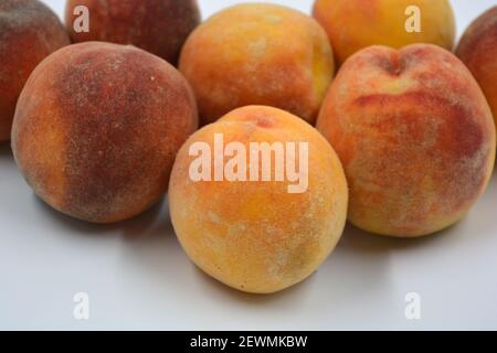 Tasty and useful fresh fruits, ripe red and orange peaches with a terry white skurt are located on a white background. Stock Photo