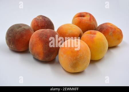 Tasty and useful fresh fruits, ripe red and orange peaches with a terry white skurt are located on a white background. Stock Photo