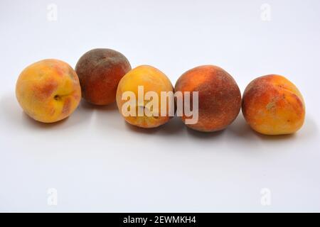 Tasty and useful fresh fruits, ripe red and orange peaches with a terry white skurt are located on a white background. Stock Photo