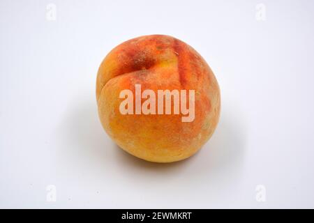 Tasty and useful fresh fruits, ripe red and orange peaches with a terry white skurt are located on a white background. Stock Photo