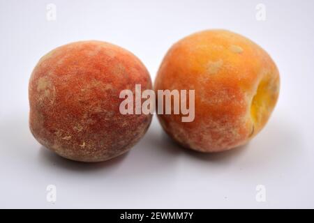 Tasty and useful fresh fruits, ripe red and orange peaches with a terry white skurt are located on a white background. Stock Photo