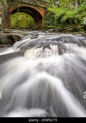 May Beck waterfall near Whitby, in autumn Stock Photo