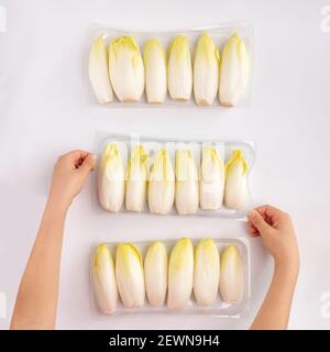 Belgian endive, witloof, row chicory root on wite background, top view with kids hands, spring food concept Stock Photo