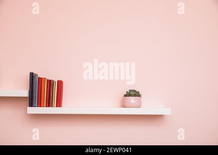 Simple white shelves on pale pink colored wall with books and succulent in pink pot. No titles shown on books Stock Photo
