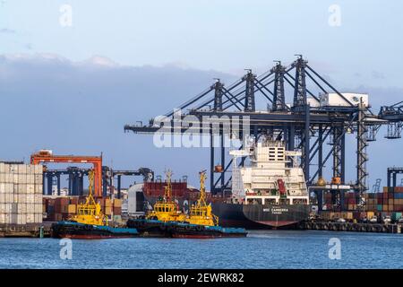 Cargo ships being loaded on Lake Gatun, near Gamboa, Panama Canal, Panama, Central America Stock Photo