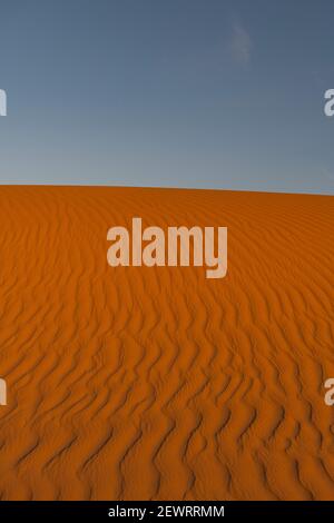 Sand ripples in the sand dunes of the Tenere Desert, Sahara, Niger, Africa Stock Photo
