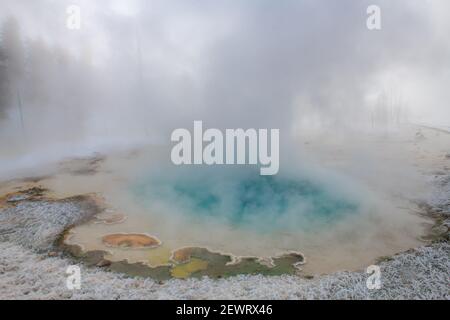 Blue thermal feature in the fog and snow, Yellowstone National Park, UNESCO World Heritage Site, Wyoming, United States of America, North America Stock Photo