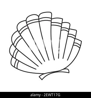 Scallop Seashell Vector. Beauty Exotic Souvenir - Stock Illustration  [38168678] - PIXTA
