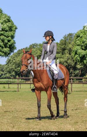 Young girl riding horse. Holland has 500,000 riders and 450,000 horses. There are 1,500 riding associations together organizing 7,300 events per year. Stock Photo