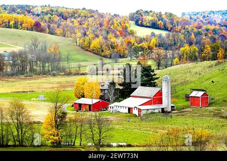 Amish lifestyle and farm house scenic without electrica wires in and around Sugarcreek and Millersburg Ohio OH Stock Photo