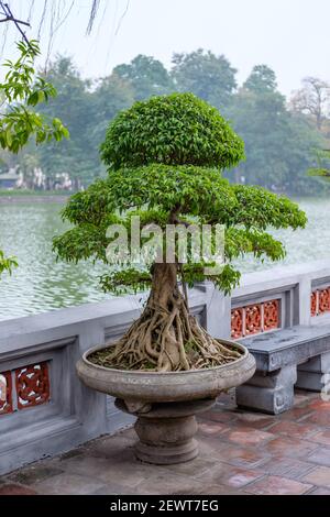 Impressions from Ho Guom lake in Hanoi, Vietnam. Stock Photo