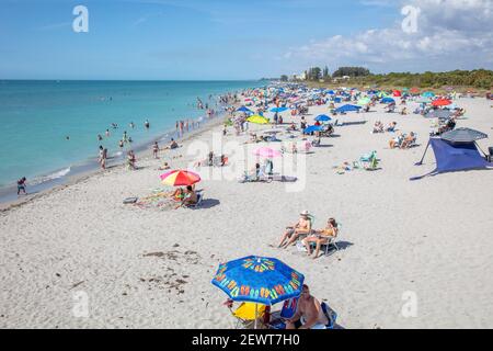 Beach at the Venice fishing pier on the Gulf of Mexico during high tourist season in Venice Florida USA Stock Photo