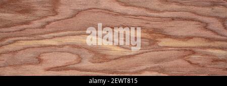 background and texture of wood veneer - red cedar tree, panoramic web banner Stock Photo