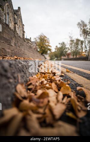 Orange autumn fall colour leaves gathering in pile at side of road gutter selective focus on double yellow lines.  Pavement and church in shot Stock Photo