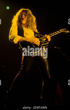 ミュージック Whitesnake John Sykes Live In '84 ミュージック Whitesnake John Sykes Live In '84 Whitesnake