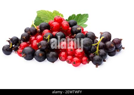 Collection of berries. Fresh  red and black currants isolated on white background. Bright summer treat. Stock Photo