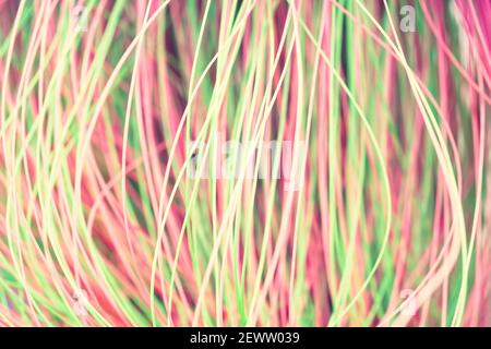 Colored thin wavy threads abstract texture background Stock Photo