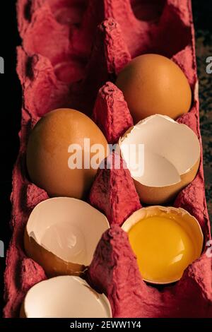 broken eggs in a red egg crate; one egg yolk in the shell Stock Photo