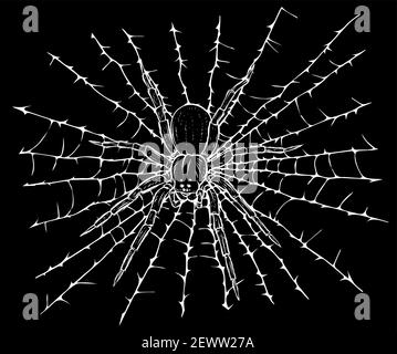 silhouette vector illustration hanging spider on web thread Stock Vector