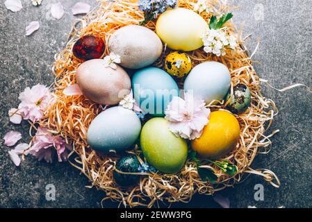 Homemade naturally dyed eggs in pastel colors Stock Photo