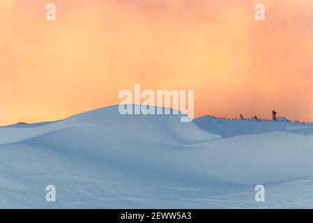 Abstract patterns and colours in snow, Orkney Isles Stock Photo