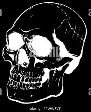 silhouette Realistic red skull. vector Illustration for designer on a white background. Stock Vector