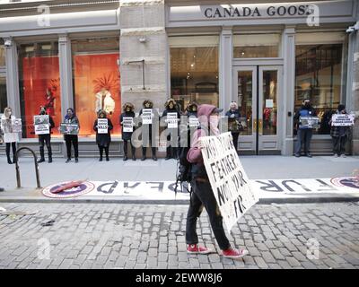 Canada goose boston clearance protest