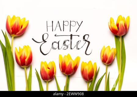 Happy Easter card with red and yellow two colored tulip flowers on white background top view flat lay Stock Photo