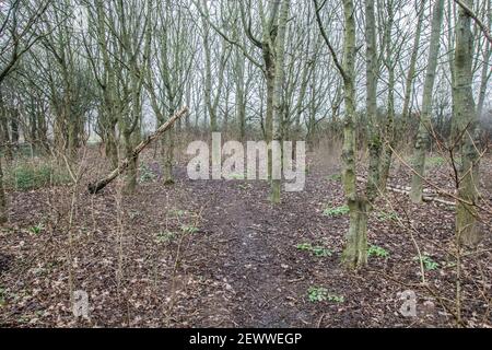 Wormwood Scrubs Local Nature Reserve, Borough of Hammersmith & Fulham ...