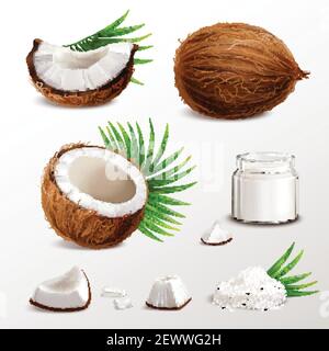 Coconut realistic set with nut segments  flesh pieces jar milk powder dry flakes palm leaves vector illustration Stock Vector