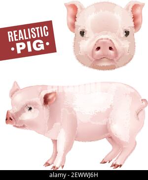Pink pig realistic icons set of side view and head from front isolated on white background vector illustration Stock Vector