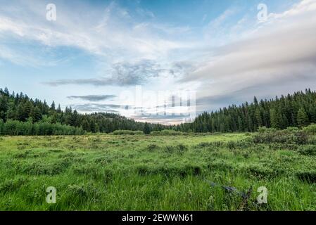 Grassland in the early morning, Colorado Stock Photo