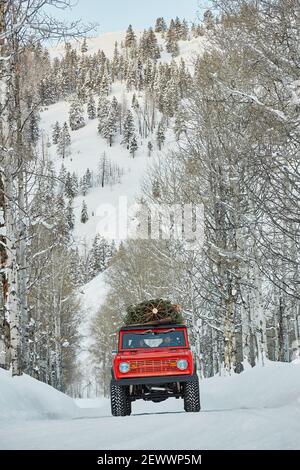 Ford Bronco with Christmas Tree on roof drives drives on snowy road Stock Photo