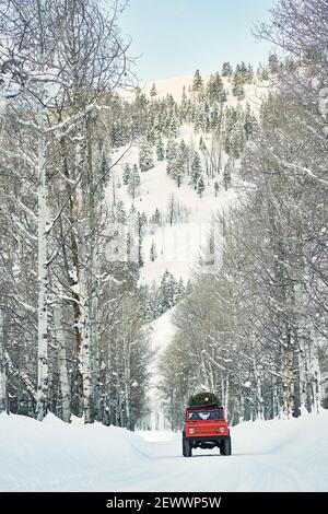 SUV with Christmat tree on roof drives down snowy mountain forest road Stock Photo