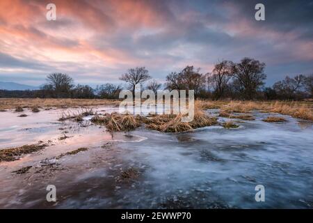 Sunset over the wetland of river Turiec in Slovakia. Stock Photo
