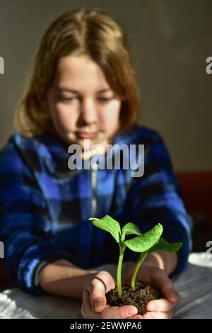 Girl holding pumpkin seedlings in her hands Stock Photo