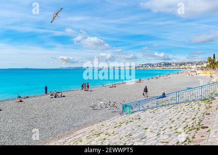 A seagull flies about tourists on the public beach on the French Riviera of the Mediterranean Sea in Nice France. Stock Photo