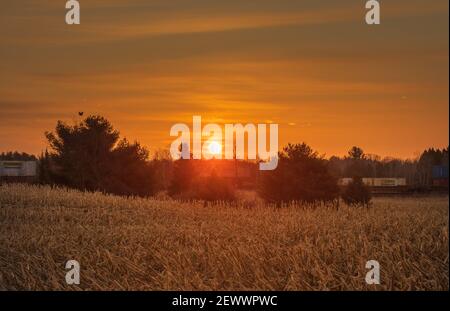 An early morning freight train passing through a farming community in northern Wisconsin. Stock Photo