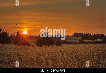 An early morning freight train passing through a farming community in northern Wisconsin. Stock Photo