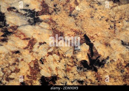 Light brown granite with large inclusions of black color, close-up of a flat surface of natural stone. Background, pattern, texture. Stock Photo