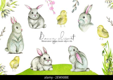 Spring Bunny Happy Easter clipart. Farm animals collection watercolor illustration Stock Photo