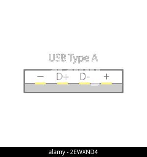 USB connector with signed power and digital signal pins in a simple design with gold pins. View in the section of the plane. Flat vector illustration Stock Vector