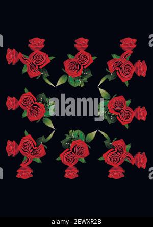 Frames - a bouquet of three red roses. Flowers on the black background of the A4, vertical image. Isolate. Plants Stock Vector