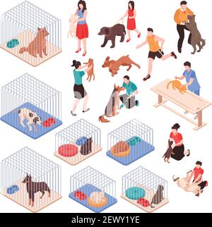 Animal shelter with dogs and cats in cages human characters with pets isometric set isolated vector illustration Stock Vector