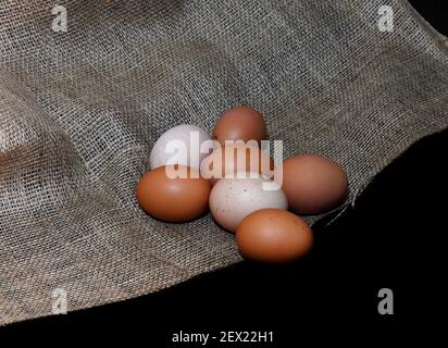 Chicken eggs on burlap fabric. Natural organic eggs. Stock Photo