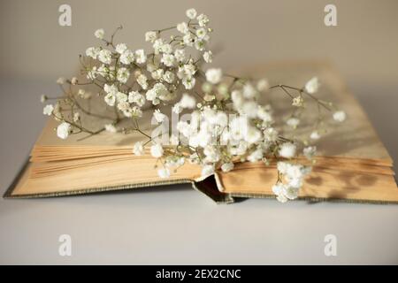 Opened old book with white gypsophila flowers on table close-up Stock Photo