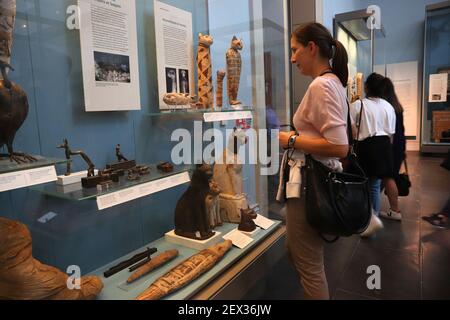 LONDON, UK - JULY 14, 2019: Tourist admires Egyptian cat mummies in British Museum, London. The museum was established in 1753 and holds approximately Stock Photo