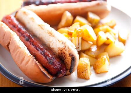 grilled hotdogs on white bread bun with ketchup and home made hash browns. This is a classic lunch meal. Stock Photo