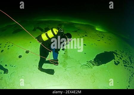 Scuba diver under ice walking upside down, exercise to practice orientation, Arctic circle Dive Center, White Sea, Karelia, northern Russia Stock Photo